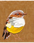 Eastern Yellow Robin 3