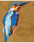 Kingfisher