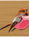 Pink Robin 2