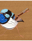 Superb Fairy Wren 2