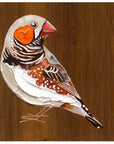 Zebra Finch 2