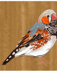 Zebra Finch 3