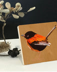 Red Fairy Wren