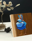 Splendid Fairy Wren 2