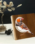 Zebra Finch 2