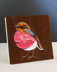 Pink Robin 1