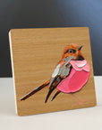 Pink Robin 2