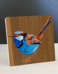 Splendid Fairy Wren