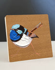 Superb Fairy Wren 2