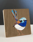 Superb Fairy Wren 5