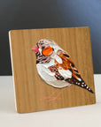 Zebra Finch 1