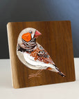 Zebra Finch 2