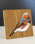 Zebra Finch 3