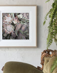 jessica-watts-fine-art-print-flowers-protea-king-sugarbush